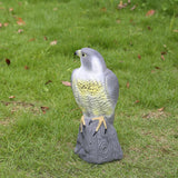 Maxbell Falcon Decoy Garden Bird Rodent Deter Scarer Weed Pest Control Scarecrow