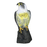 Maxbell Falcon Decoy Garden Bird Rodent Deter Scarer Weed Pest Control Scarecrow