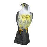 Maxbell Falcon Decoy Garden Bird Rodent Deter Scarer Weed Pest Control Scarecrow