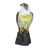 Maxbell Falcon Decoy Garden Bird Rodent Deter Scarer Weed Pest Control Scarecrow