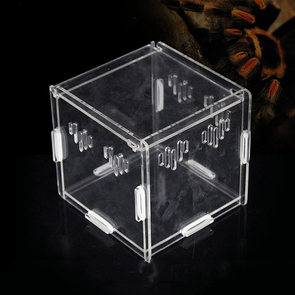 Maxbell Maxbell Acrylic Box Crawler Spider Scorpion Centipede Insect Feeding Insect Box - XS