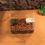 Maxbell Maxbell Acrylic Box Crawler Spider Scorpion Centipede Insect Feeding Insect Box - L