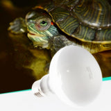 Maxbell Maxbell E27 Tortoise Reptile Vivarium Light Beneficial UVA Basking Lamp Heat Bulb 40W