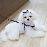 Maxbell Maxbell Pet Dog Traction Rope Lead Leash Collar Harness Strap Headband S BLU Floral