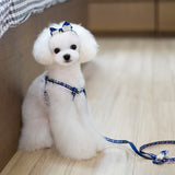 Maxbell Maxbell Pet Dog Traction Rope Lead Leash Collar Harness Strap Headband S BLU Floral