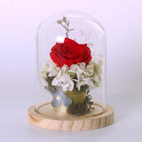 Maxbell Glass Cover Landscape Vase Terrarium Round Wood Tray Flower Decor Gift S