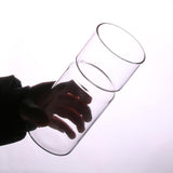 Maxbell 2 Clear Hyacinth Glass Vase Flower Planter Pot DIY Terrarium Container Decor