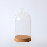 Maxbell 5x Clear Glass Bell Cover Pot Landscape Terrarium Container Lid Vase Bottle