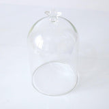 Maxbell 5x Clear Glass Bell Cover Pot Landscape Terrarium Container Lid Vase Bottle