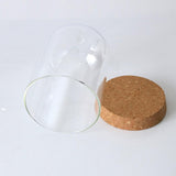 Maxbell 5x Clear Glass Bell Cover Pot Landscape Terrarium Container Lid Vase Bottle