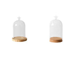 Maxbell 5x Clear Glass Bell Cover Pot Landscape Terrarium Container Lid Vase Bottle
