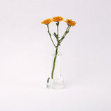 Maxbell 33pcs Penis Shaped Cocktails Wine Glass Drinking Ware Cup Hen Night Party