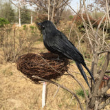 Maxbell 24 pieces Black Feathered Small Crows Birds Ravens Props Halloween Decor
