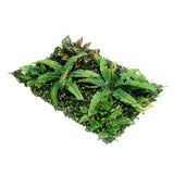 Maxbell Artificial Plants Lawn Wall Wedding Venue Foliage Pillar Main Road Decor