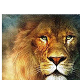 Maxbell 5D DIY Diamond Painting Embroidery Rhinestone Pictures Lion 30x40cm - Aladdin Shoppers