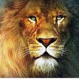Maxbell 5D DIY Diamond Painting Embroidery Rhinestone Pictures Lion 30x40cm - Aladdin Shoppers