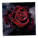 Maxbell 5D DIY Diamond Painting Embroidery Rhinestone Pictures Blooming Rose 30x30cm - Aladdin Shoppers