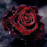 Maxbell 5D DIY Diamond Painting Embroidery Rhinestone Pictures Blooming Rose 30x30cm - Aladdin Shoppers