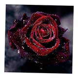 Maxbell 5D DIY Diamond Painting Embroidery Rhinestone Pictures Blooming Rose 30x30cm - Aladdin Shoppers