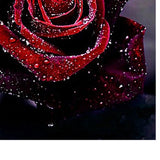 Maxbell 5D DIY Diamond Painting Embroidery Rhinestone Pictures Blooming Rose 30x30cm - Aladdin Shoppers