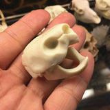 Maxbell Maxbell Creative Animal Head Skull  Aquarium Decoration Turtle Skull