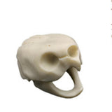 Maxbell Maxbell Creative Animal Head Skull  Aquarium Decoration Turtle Skull