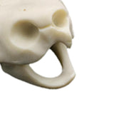 Maxbell Maxbell Creative Animal Head Skull  Aquarium Decoration Turtle Skull