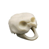 Maxbell Maxbell Creative Animal Head Skull  Aquarium Decoration Turtle Skull