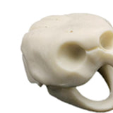 Maxbell Maxbell Creative Animal Head Skull  Aquarium Decoration Turtle Skull