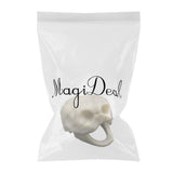 Maxbell Maxbell Creative Animal Head Skull  Aquarium Decoration Turtle Skull