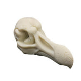 Maxbell Maxbell Creative Animal Head Skull  Aquarium Decoration Bird Skull