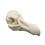Maxbell Maxbell Creative Animal Head Skull  Aquarium Decoration Bird Skull