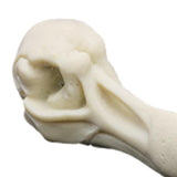 Maxbell Maxbell Creative Animal Head Skull  Aquarium Decoration Bird Skull