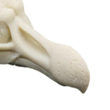 Maxbell Maxbell Creative Animal Head Skull  Aquarium Decoration Bird Skull