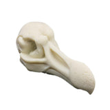 Maxbell Maxbell Creative Animal Head Skull  Aquarium Decoration Bird Skull