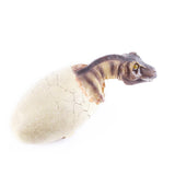 Maxbell Maxbell Creative Animal Head Skull  Aquarium Decoration Dinosaur Eggs