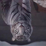 Maxbell 2 Set Cat Tiger Lion DIY 5D Diamond Painting Embroidery Cross Stitch Kit