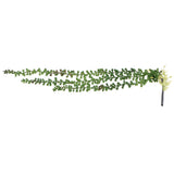 Maxbell 10x Artificial Flower String of Pearls Wall Hanging Succulents Plants Green