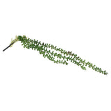 Maxbell 10x Artificial Flower String of Pearls Wall Hanging Succulents Plants Green