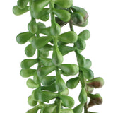 Maxbell 10x Artificial Flower String of Pearls Wall Hanging Succulents Plants Green