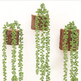 Maxbell 10x Artificial Flower String of Pearls Wall Hanging Succulents Plants Green