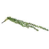 Maxbell 10x Artificial Flower String of Pearls Wall Hanging Succulents Plants Green