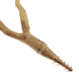 Creative Artificial Branches Small Trees Twig Branch Table Decoration Coffee