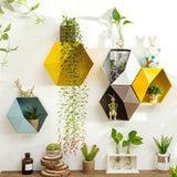 Maxbell 2Pcs Wall-mounted Iron Flower Stand Pots Rack Restaurant Coffee Shop Decor