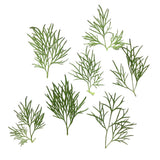 Maxbell 20x Pressed Dried Flower Dry Leaves for DIY Crafts Bookmark Cards Making