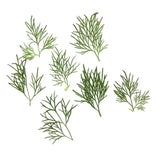 Maxbell 20x Pressed Dried Flower Dry Leaves for DIY Crafts Bookmark Cards Making
