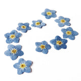 Maxbell 20x Pressed Dried Flower Dry Leaves for DIY Crafts Bookmark Cards Making