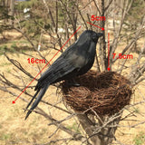 Maxbell 3x Artificial Realistic Birds Ravens Crows for Garden Halloween Decoration
