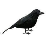 Maxbell 2x Artificial Realistic Birds Ravens Crows for Garden Halloween Decoration