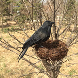 Maxbell 10x Artificial Realistic Woodland Birds for Garden Weding Home Decoration 1#